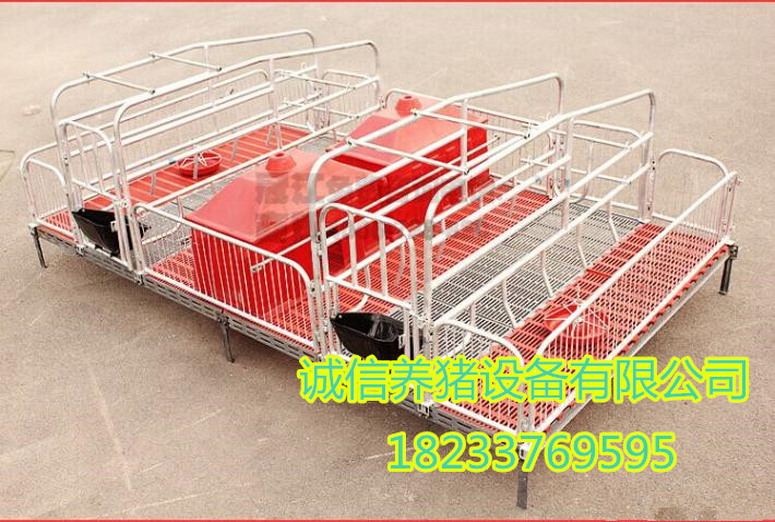 母豬產(chǎn)床圖片/母豬產(chǎn)床樣板圖 (2)