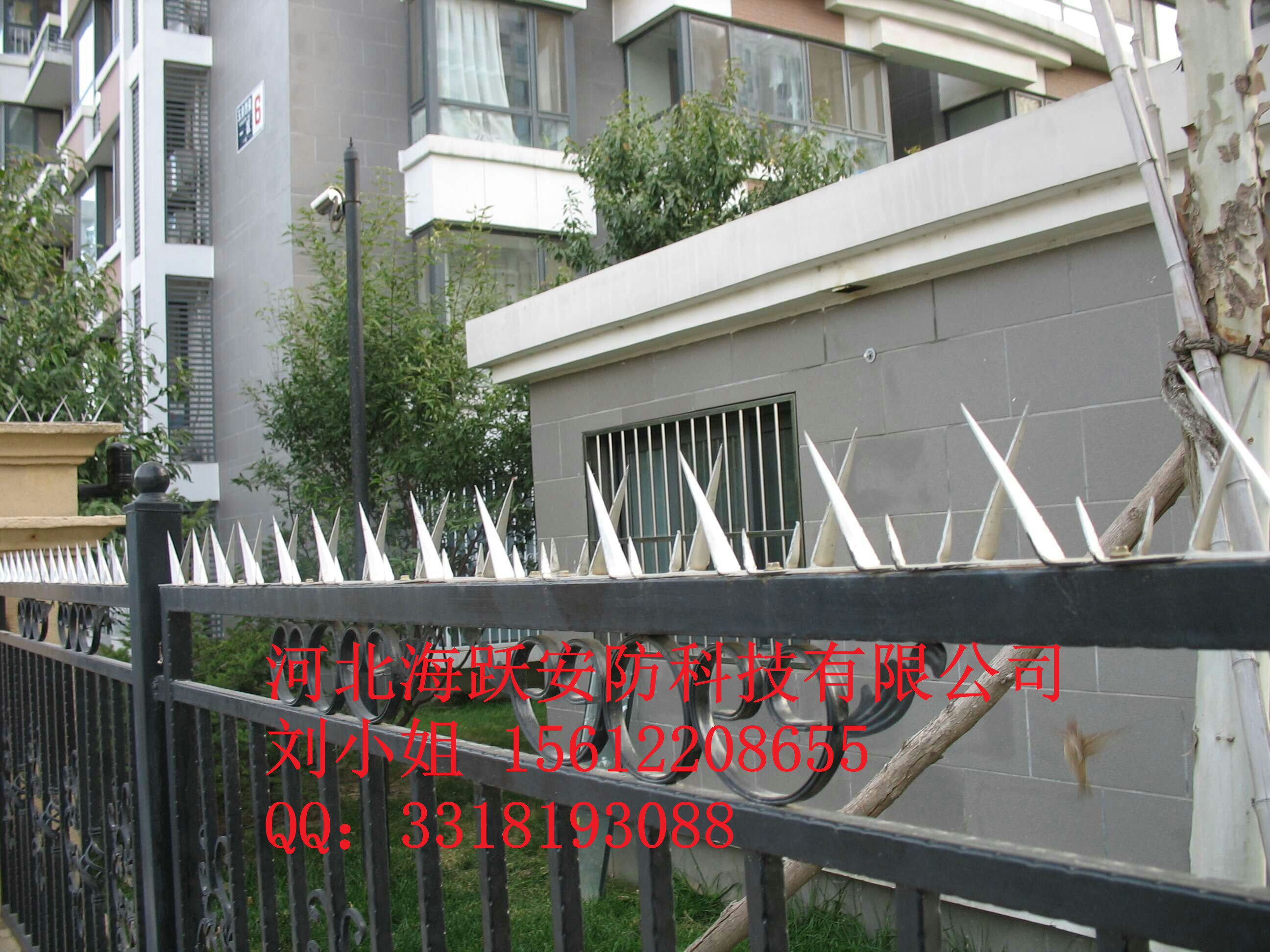 圍墻刺圖片/圍墻刺樣板圖 (3)