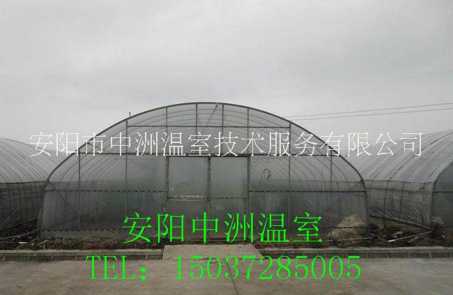 圓管拱棚安陽(yáng)中洲圖片/圓管拱棚安陽(yáng)中洲樣板圖 (4)