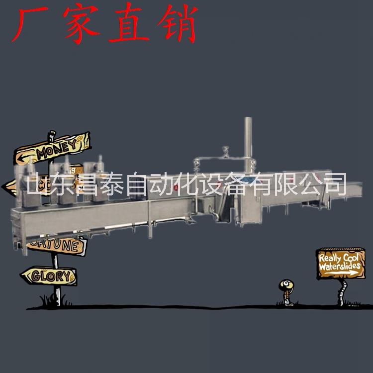 丸子生產(chǎn)線，全自動(dòng)丸子生產(chǎn)線圖片
