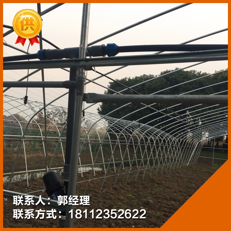 簡易連棟大棚骨架桔子大棚 葡萄避雨棚 安裝桔子大棚 葡萄大棚