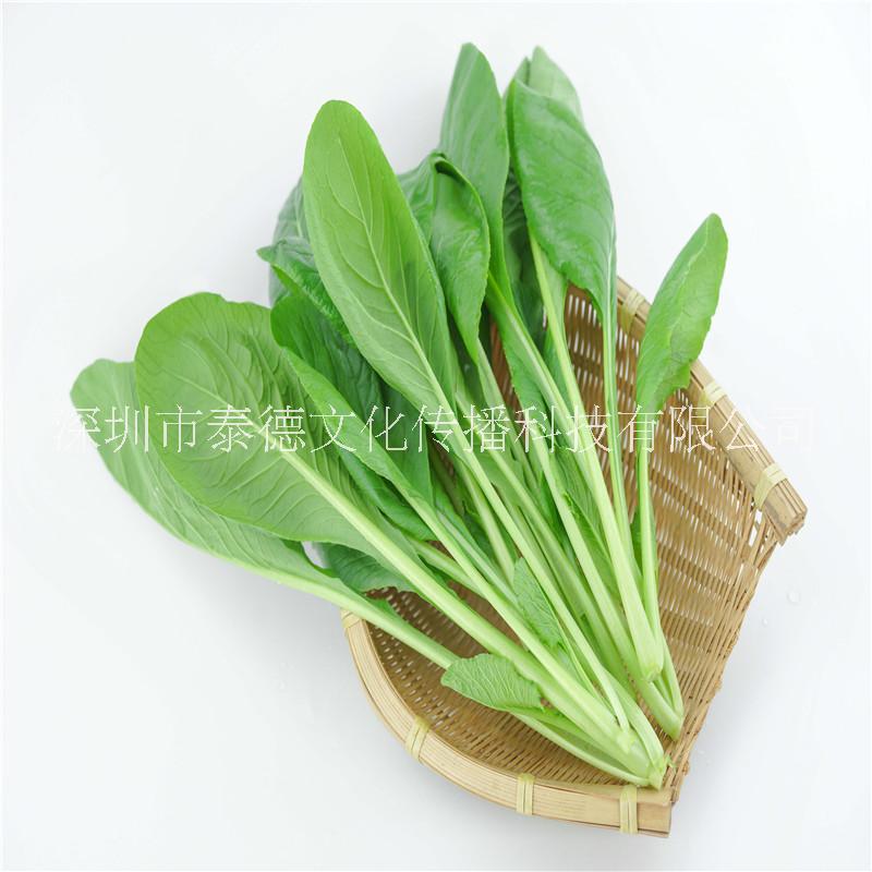 菜園圖片/菜園樣板圖 (1)