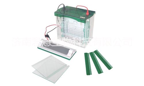 雙垂直電泳儀圖片