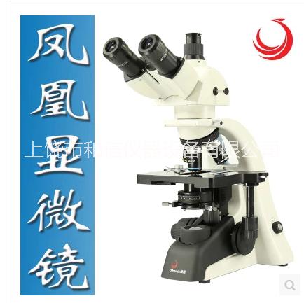 江西鳳凰生物顯微鏡PH100-2B41L-IPL雙目光學(xué)放大1600倍 廠家直銷