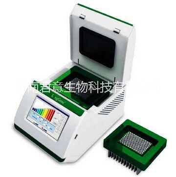 A300型梯度PCR儀基因擴(kuò)增儀廠家@PCR儀價(jià)格@山東PCR儀基因擴(kuò)增儀廠家報(bào)價(jià)