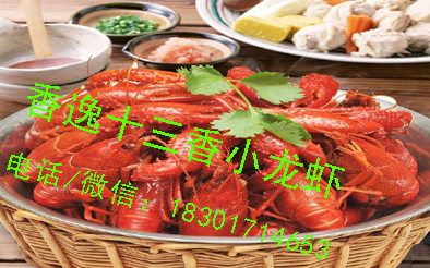 小龍蝦圖片/小龍蝦樣板圖 (4)