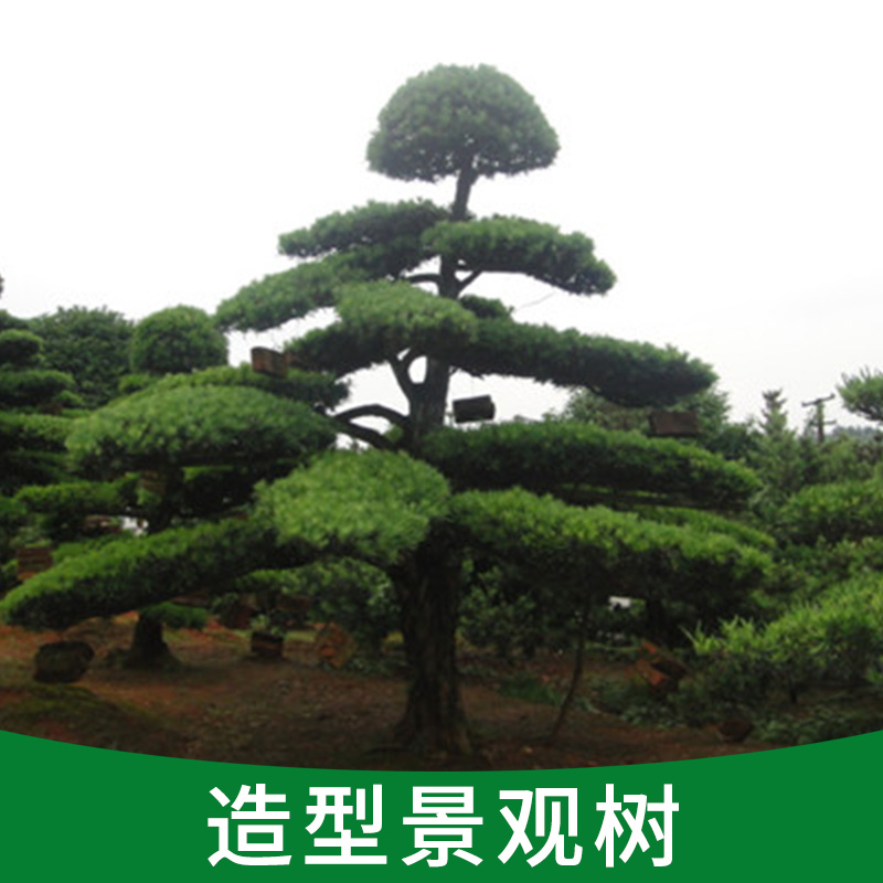 造型景觀圖片/造型景觀樣板圖 (4)