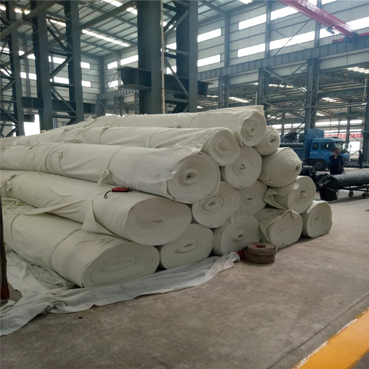 滌綸土工布圖片/滌綸土工布樣板圖 (4)