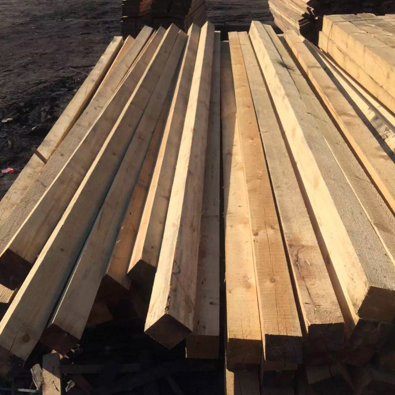 建筑工地施工木方圖片/建筑工地施工木方樣板圖 (3)