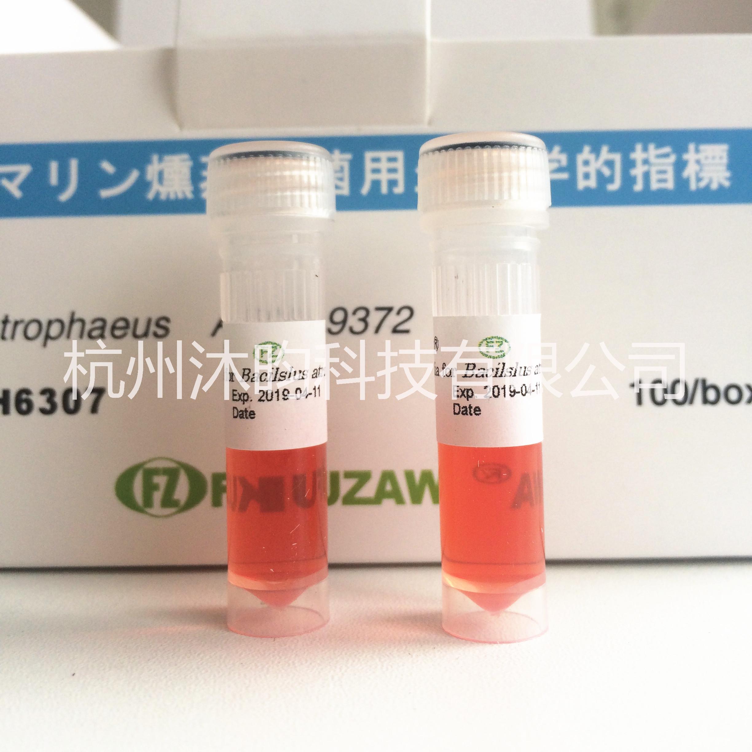 甲醛熏蒸滅菌生物指示劑圖片