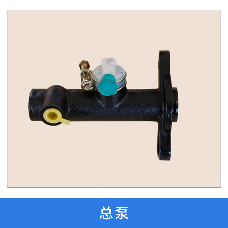 總泵圖片/總泵樣板圖 (4)