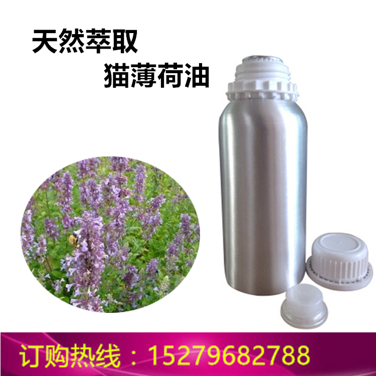 貓薄荷圖片/貓薄荷樣板圖 (1)