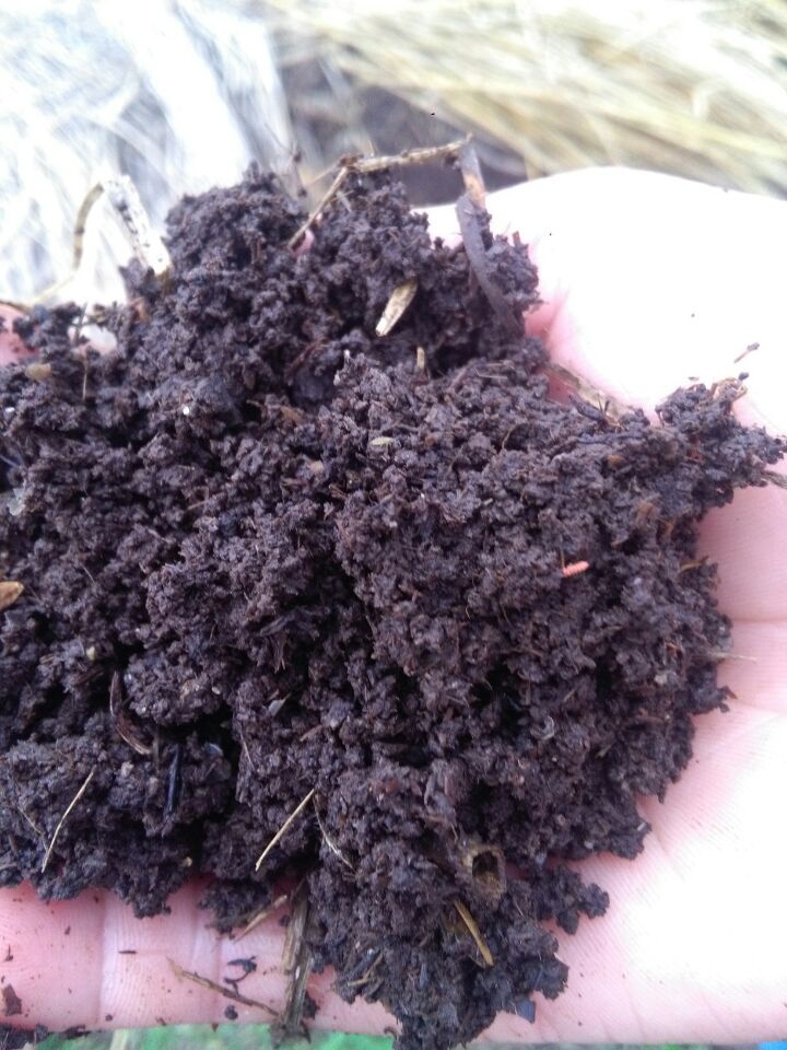 蚯蚓糞圖片/蚯蚓糞樣板圖 (1)