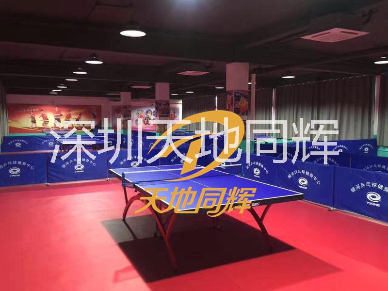 乒乓球圖片/乒乓球樣板圖 (4)