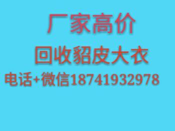 长春回收貂皮 二手貂皮  回收貂皮