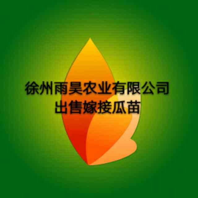 西瓜苗圖片/西瓜苗樣板圖 (1)