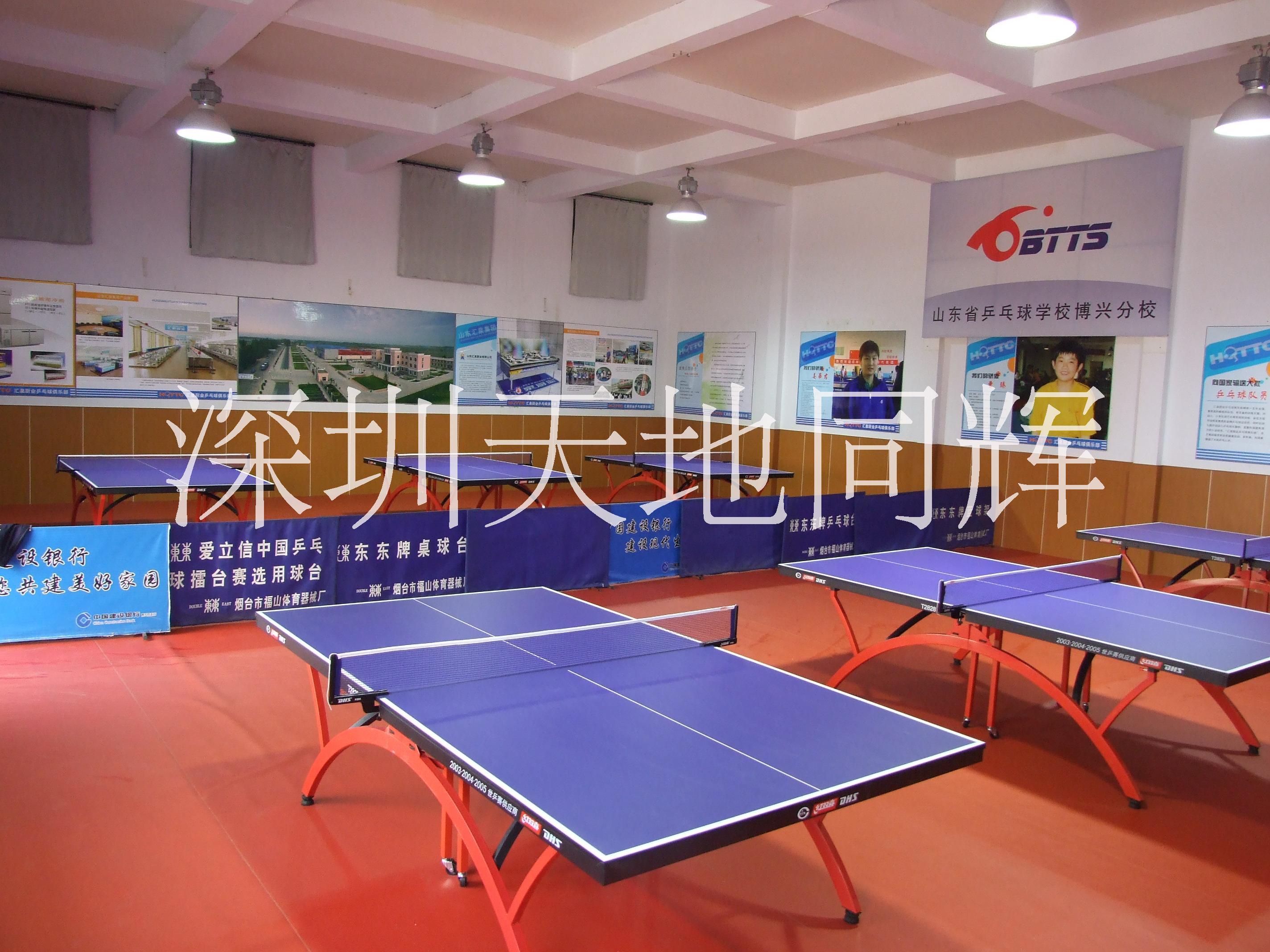 乒乓球圖片/乒乓球樣板圖 (1)