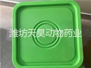 溫和型禽流感圖片/溫和型禽流感樣板圖 (4)