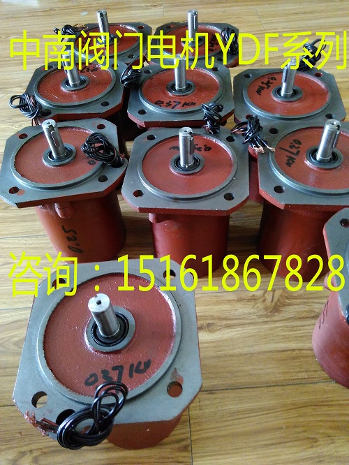 YDF閥門電機(jī) 電動(dòng)門電機(jī)圖片/YDF閥門電機(jī) 電動(dòng)門電機(jī)樣板圖 (4)