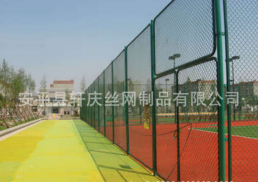 籃球場(chǎng)圍網(wǎng)圖片/籃球場(chǎng)圍網(wǎng)樣板圖 (2)