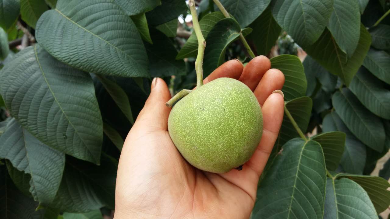 火熱進(jìn)行中圖片/火熱進(jìn)行中樣板圖 (2)