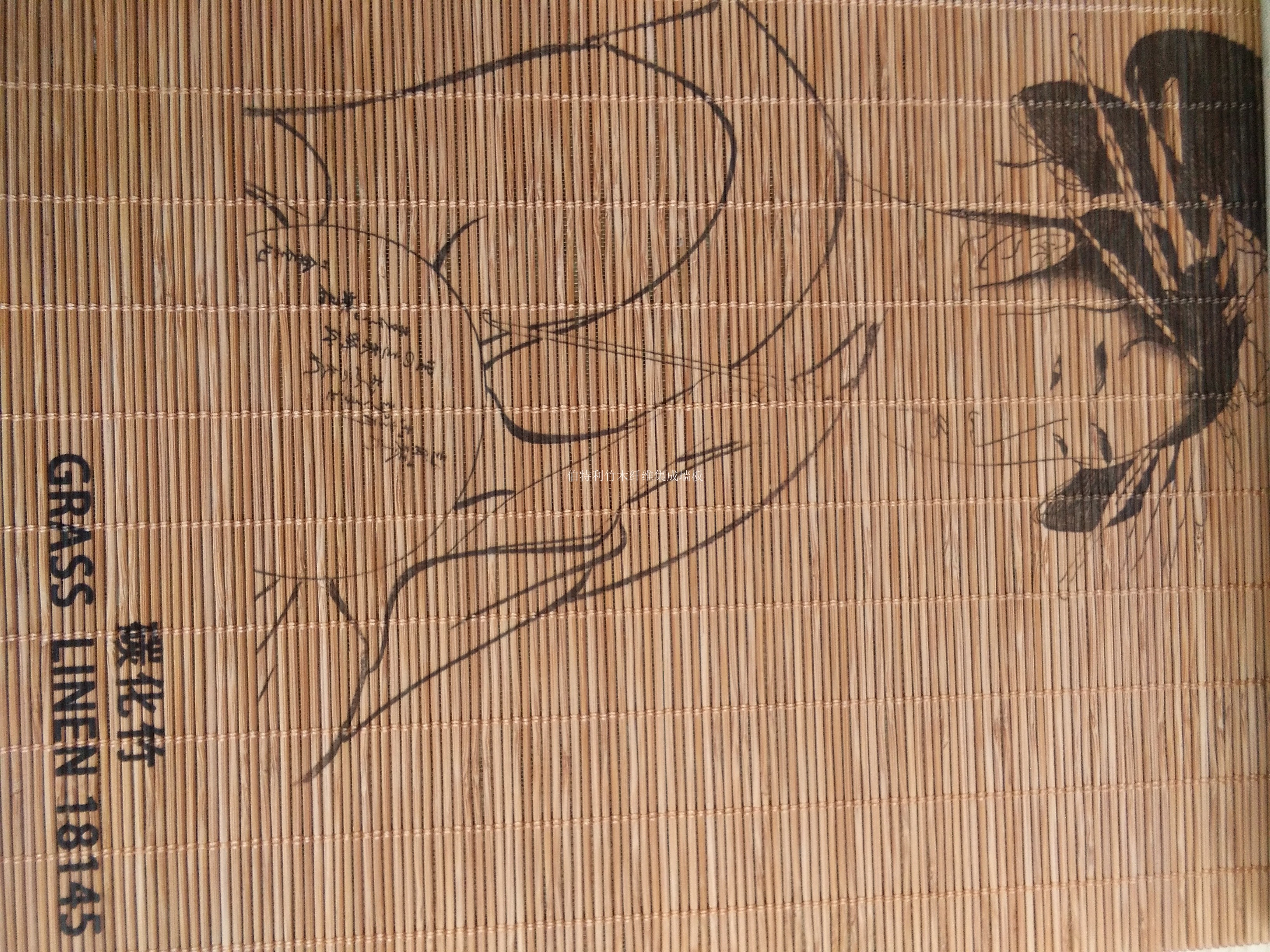 伯特利圖片/伯特利樣板圖 (1)