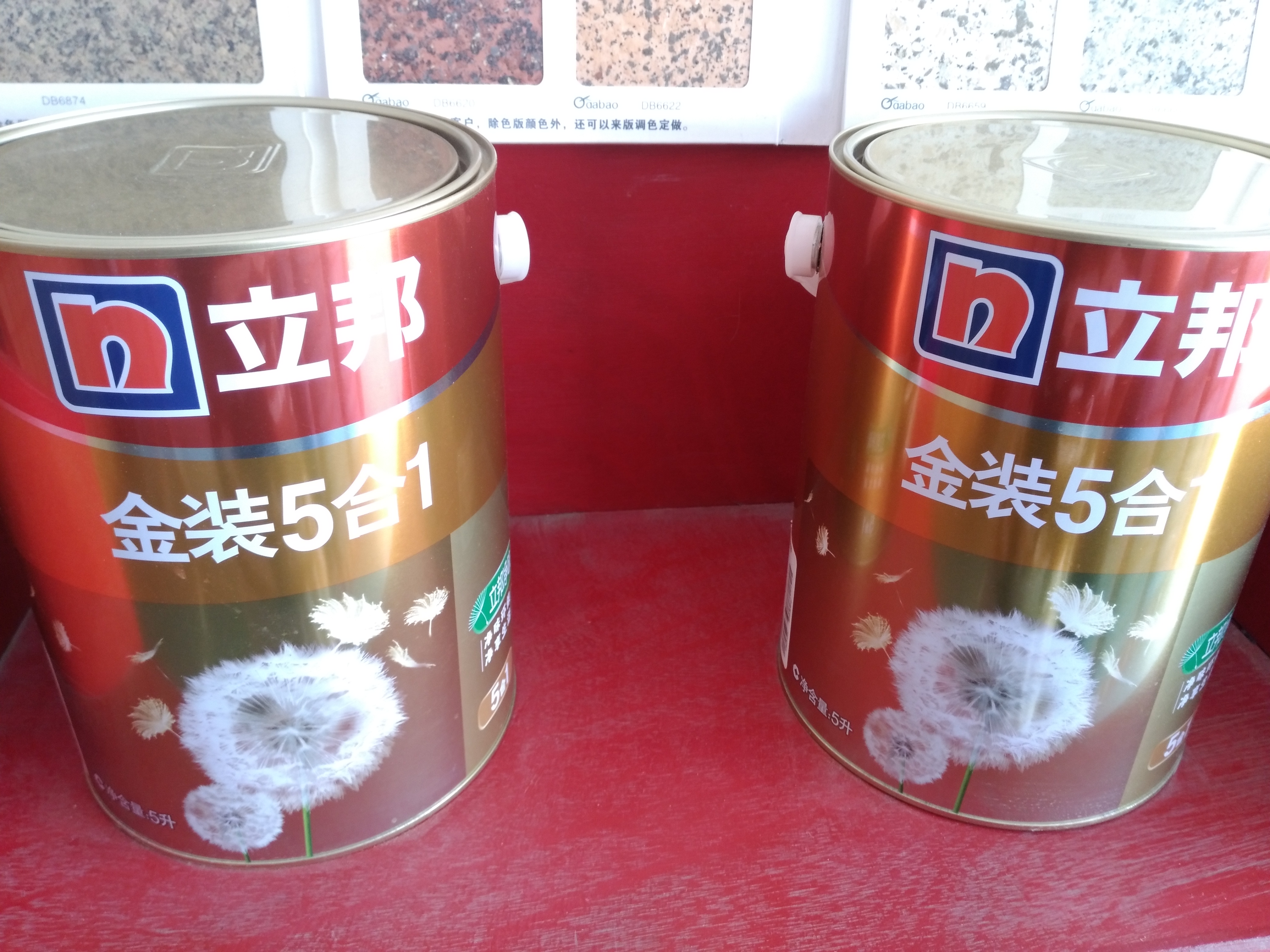 立邦金裝5合1內(nèi)墻乳膠漆圖片/立邦金裝5合1內(nèi)墻乳膠漆樣板圖 (1)