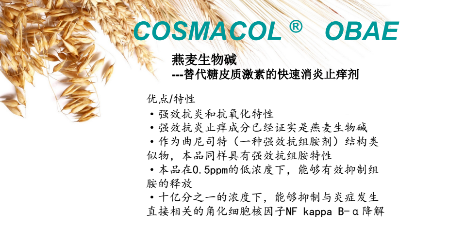 抗敏消炎圖片/抗敏消炎樣板圖 (1)