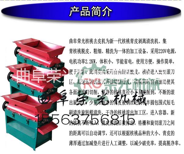核桃去皮機 青皮核桃去皮機 山核桃去綠皮機