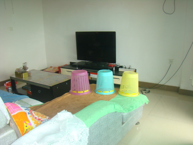 蒼蠅甕--標(biāo)準專業(yè)版（落地系列）圖片