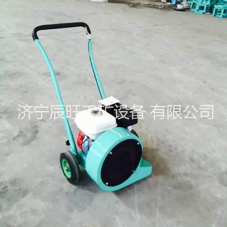 路面吹風(fēng)機(jī) 吹掃機(jī) 風(fēng)干機(jī)大馬力*風(fēng)力路面吹風(fēng)機(jī)