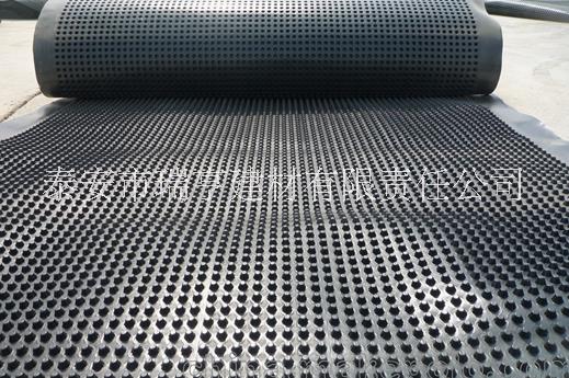 排水板圖片/排水板樣板圖 (2)