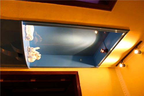 聚會(huì)圖片/聚會(huì)樣板圖 (4)