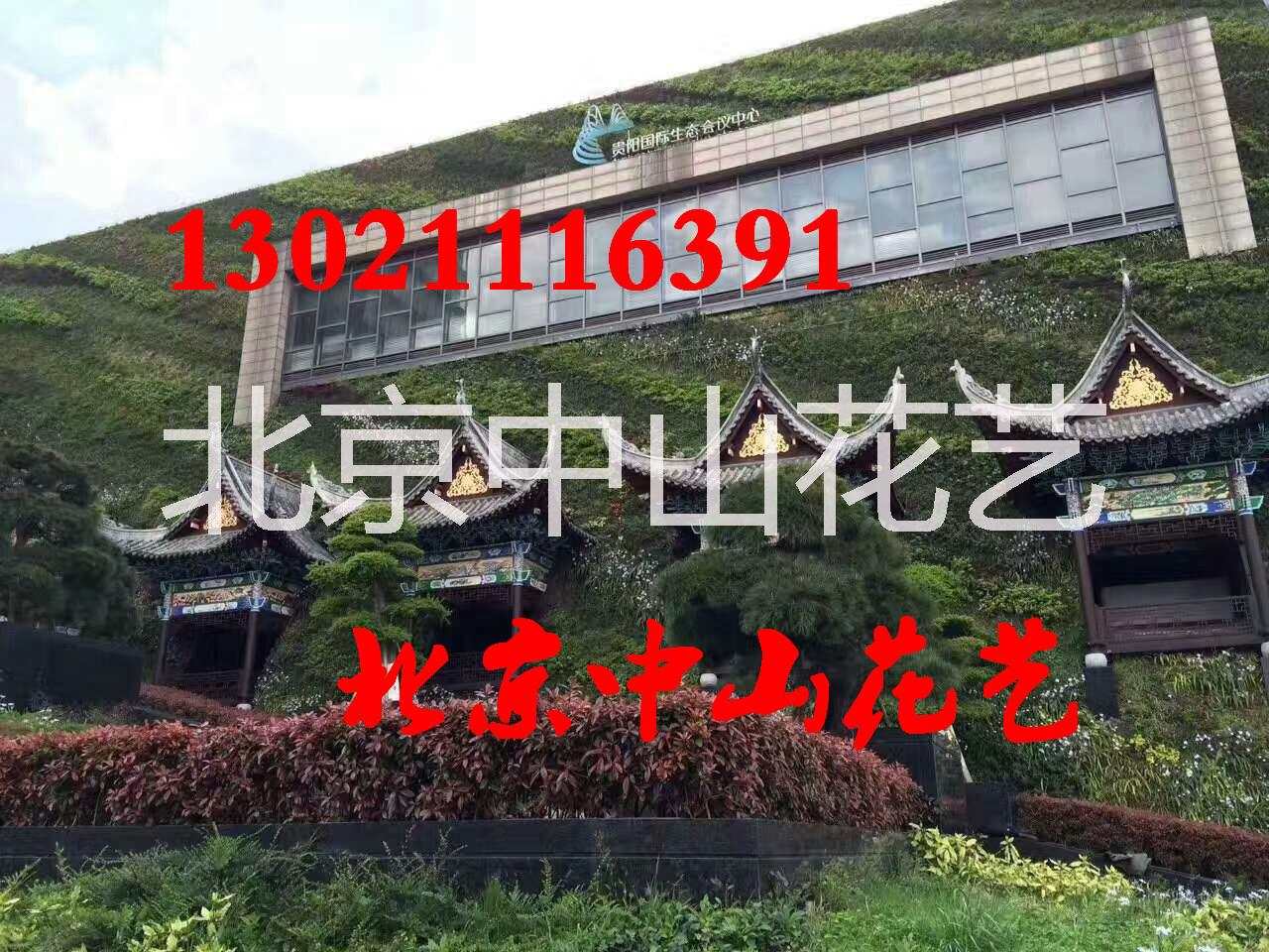 北京仿真植物墙定做室内植物墙墙体 立体墙仿真植物墙仿真花墙户外墙面 墙面装饰商务办公楼装饰设计家装仿