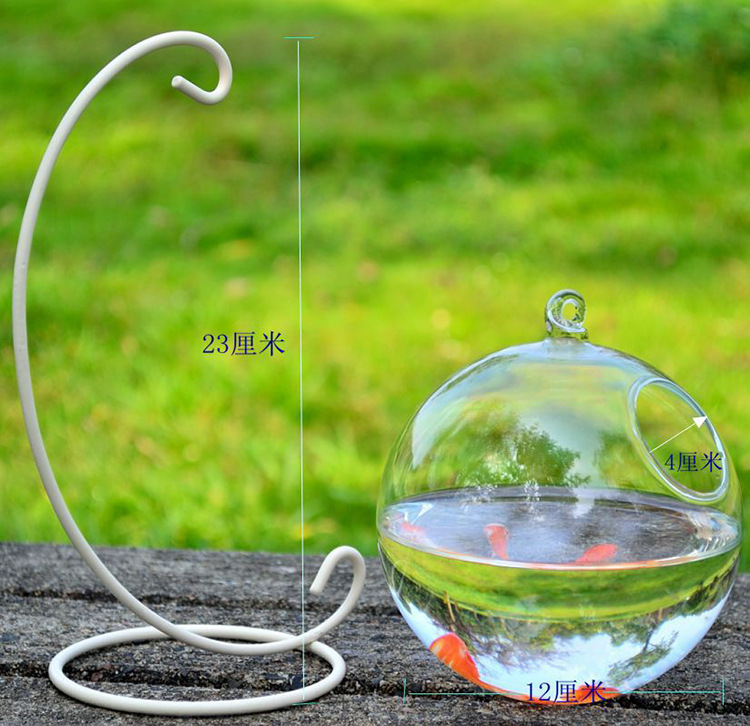 玻璃魚(yú)缸圖片/玻璃魚(yú)缸樣板圖 (4)