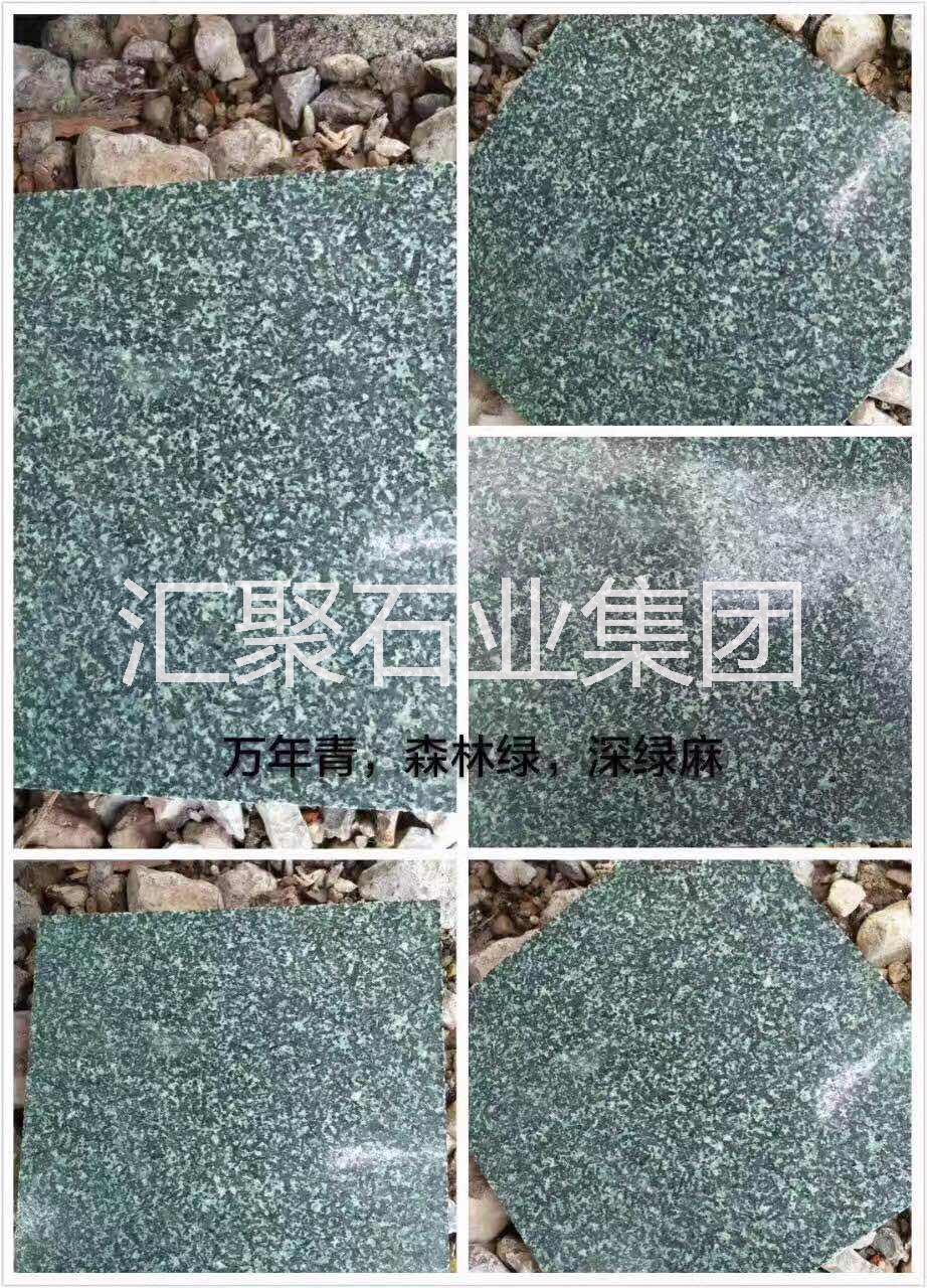 森林綠圖片/森林綠樣板圖 (3)