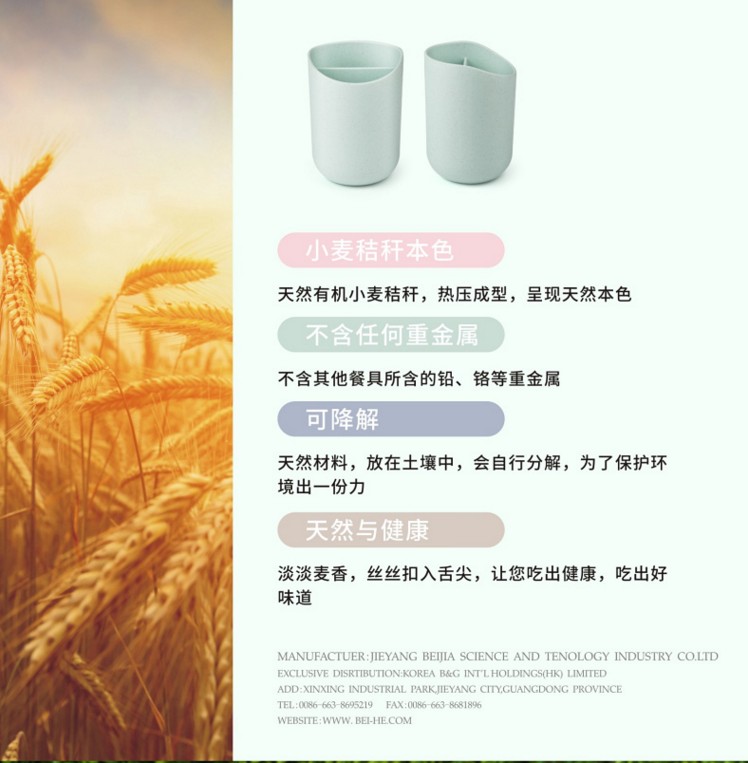 花茶杯圖片/花茶杯樣板圖 (4)