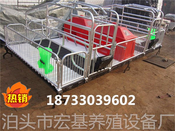母豬產(chǎn)床圖片/母豬產(chǎn)床樣板圖 (3)