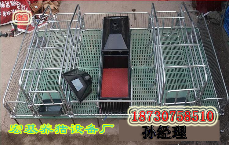 優(yōu)質(zhì)的復合板產(chǎn)床的價格豬產(chǎn)床2100*3600雙體豬產(chǎn)床廠家報價 泊頭宏基