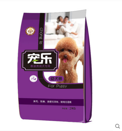 貴賓幼犬圖片/貴賓幼犬樣板圖 (3)