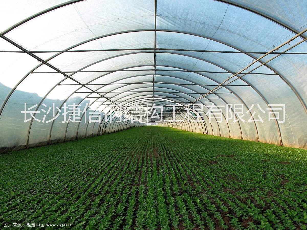 長沙溫室大棚圖片/長沙溫室大棚樣板圖 (4)