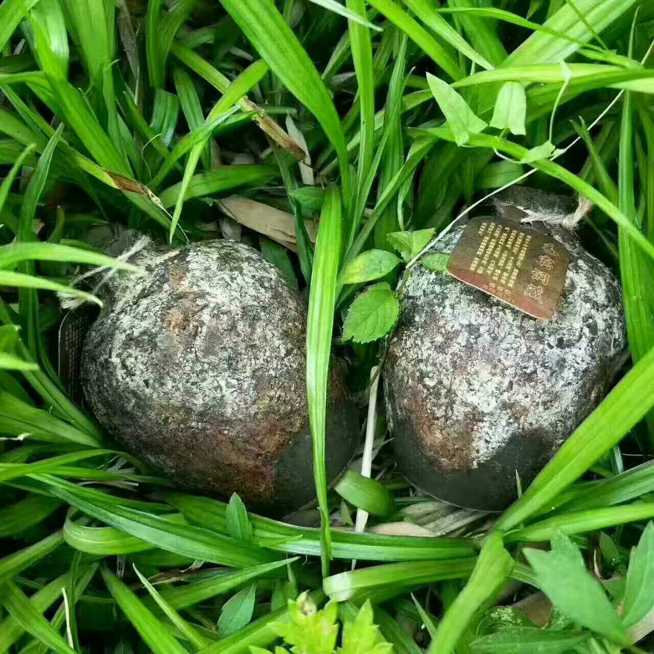 洞藏老酒圖片/洞藏老酒樣板圖 (1)