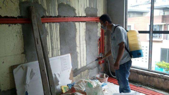 害蟲防治圖片/害蟲防治樣板圖 (3)