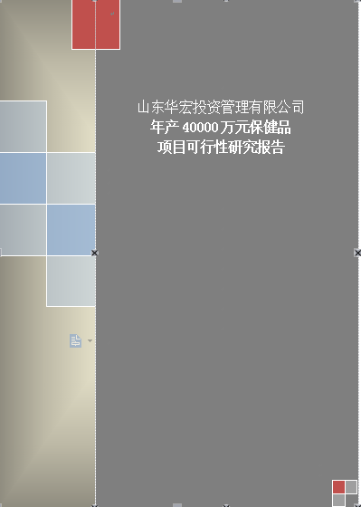 保健品項目可行性研究報告圖片