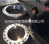 河北鍛打法蘭片 不銹鋼鍛打法蘭片價(jià)格 鍛打法蘭廠家