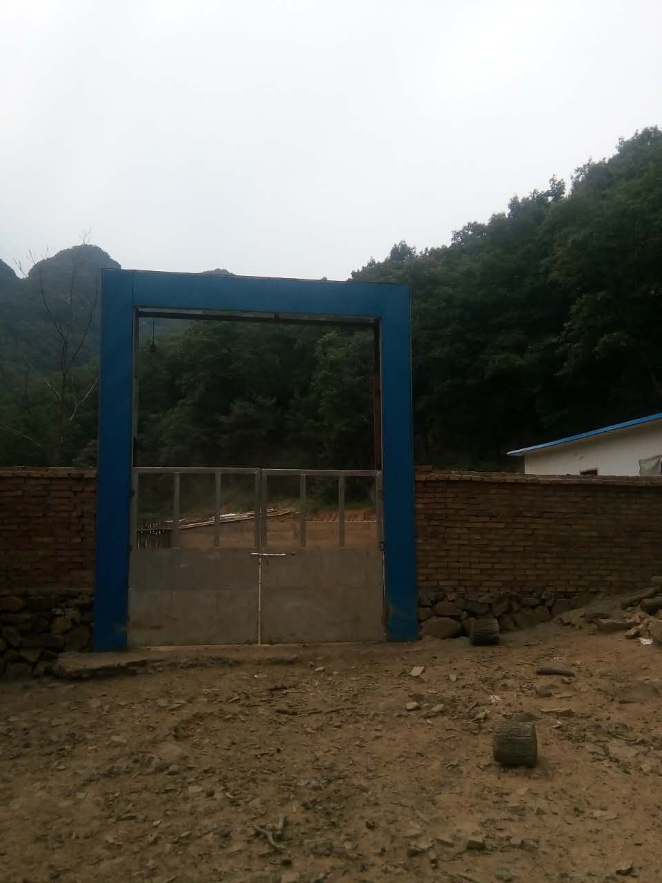 黑豬圖片/黑豬樣板圖 (4)