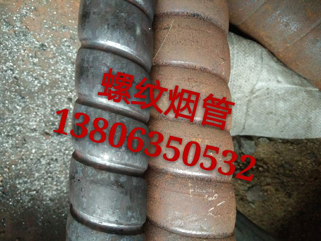 庫爾勒圖片/庫爾勒樣板圖 (4)