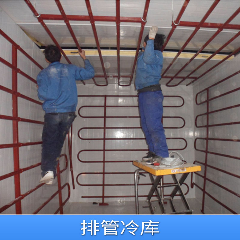 廠家直銷冷凍庫 冷凍房 冷凍室 倉儲冷庫 排管冷庫 冷庫定做批發(fā) 排管海鮮冷庫