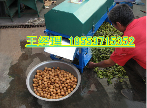 核桃脫皮機(jī)圖片/核桃脫皮機(jī)樣板圖 (4)
