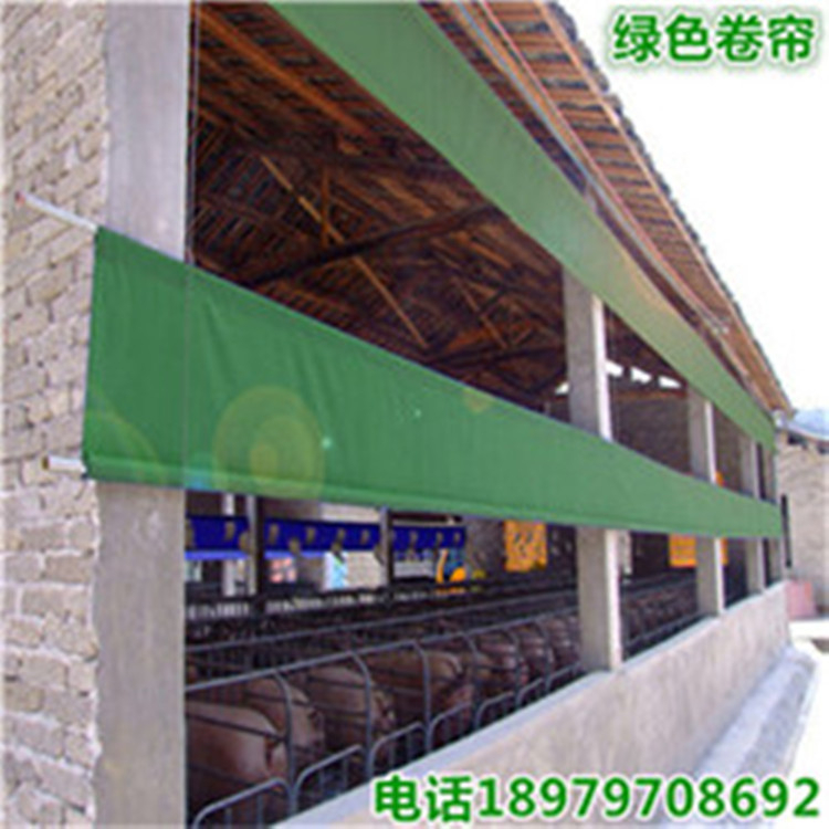 卷簾布圖片/卷簾布樣板圖 (3)